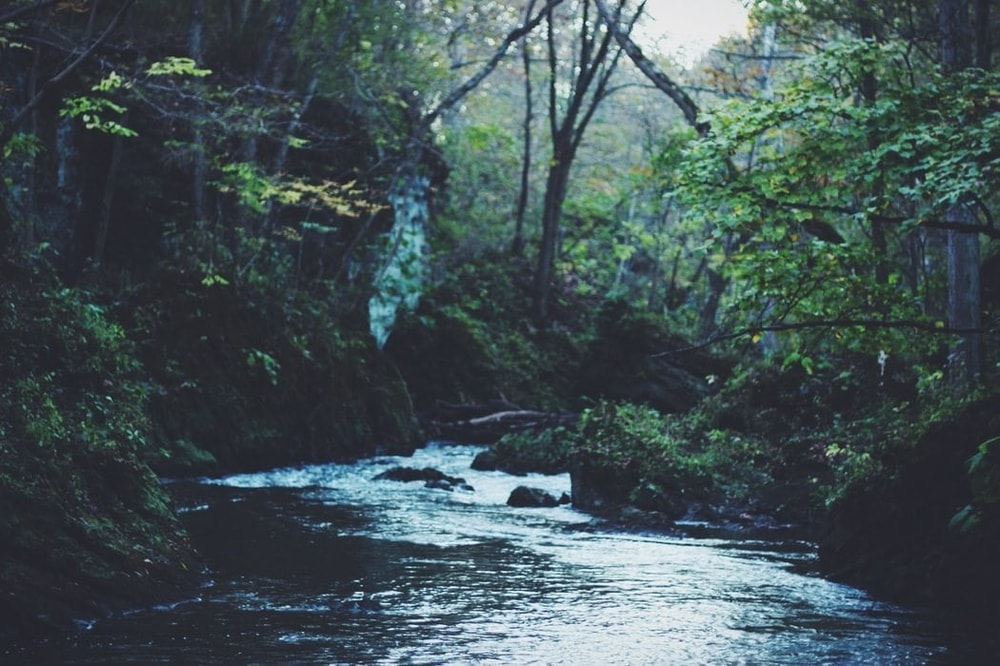 Mapping Your Digital Strategy: A Bufferchat Recap