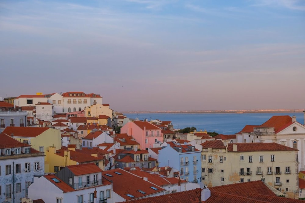 Spotlighting Digital Nomading & Third Cultures from a Buffer Teammate