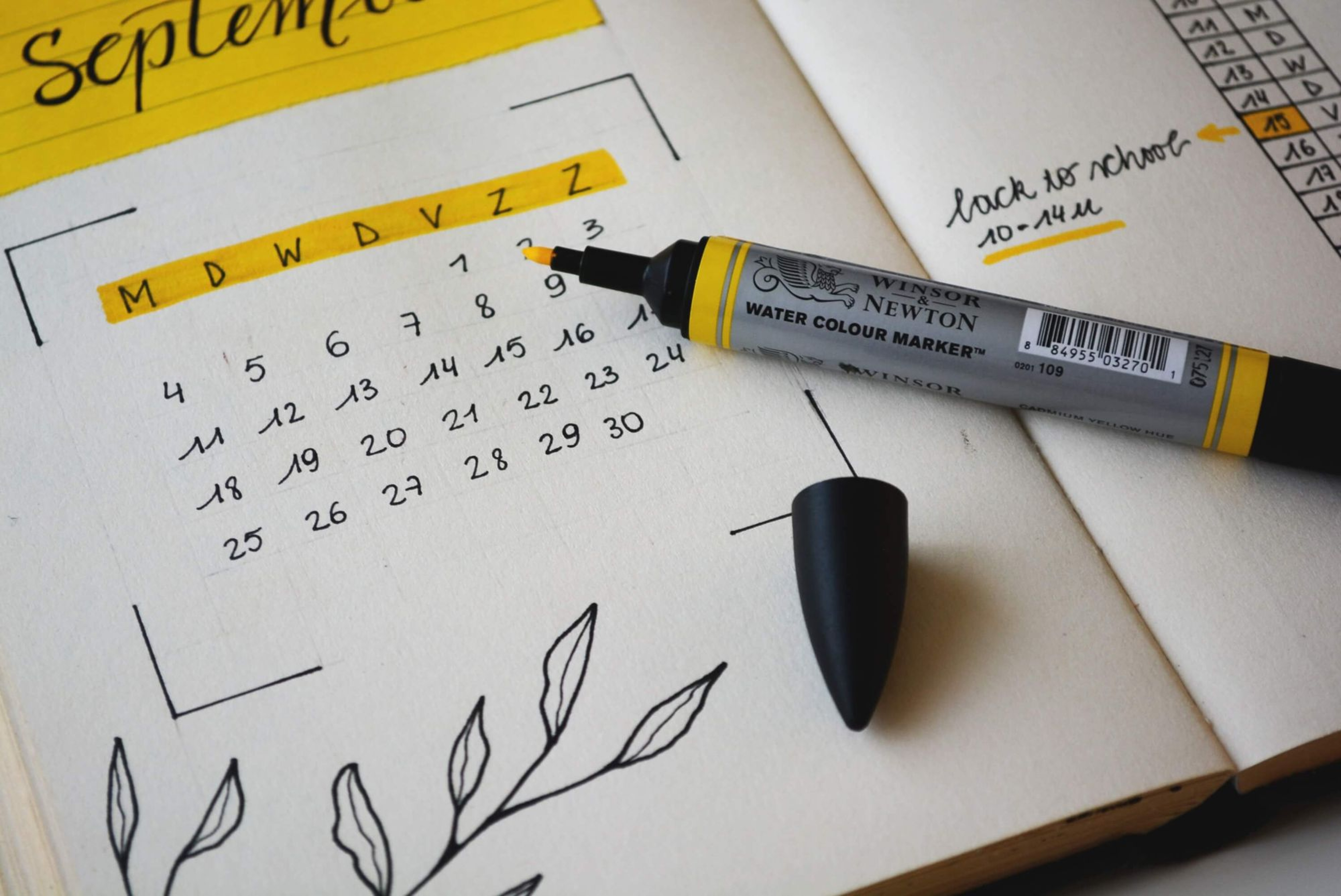 How to Create Your Own Social Media Calendar in 7 Simple Steps