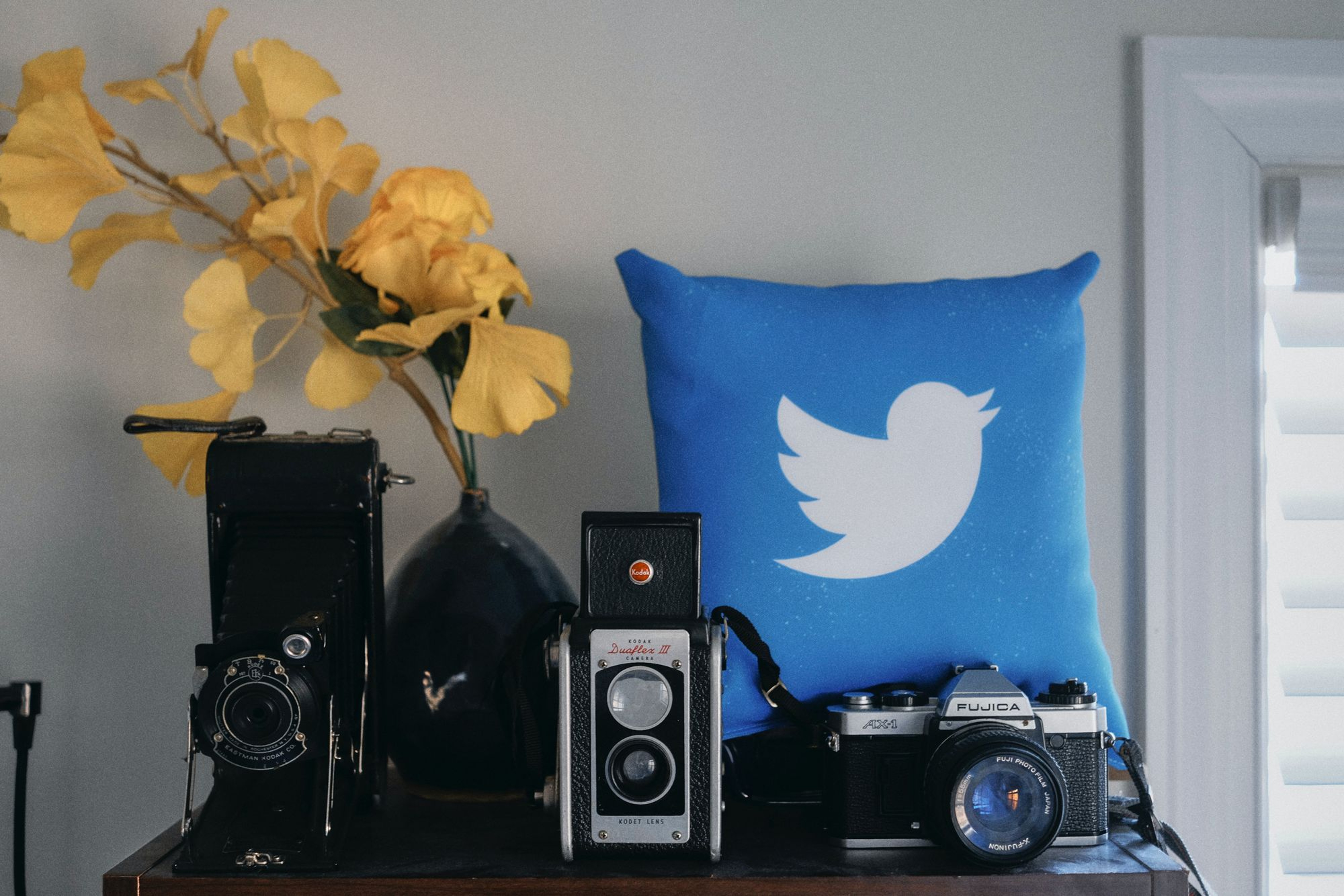 How to Get Verified on Twitter in 2024: Behind The Blue Checkmark