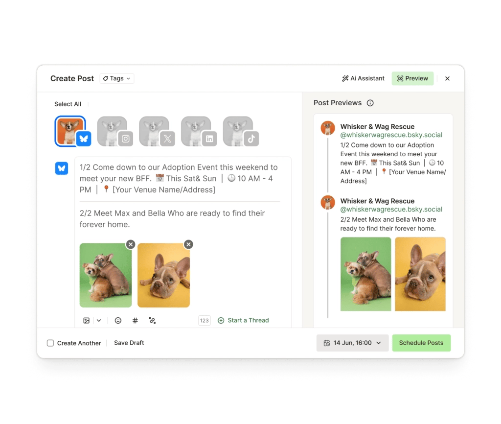 A create Bluesky thread screen with a text editor, image attachments, and a start thread option.