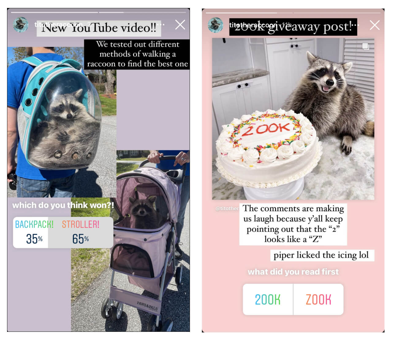 cute instagram business plan