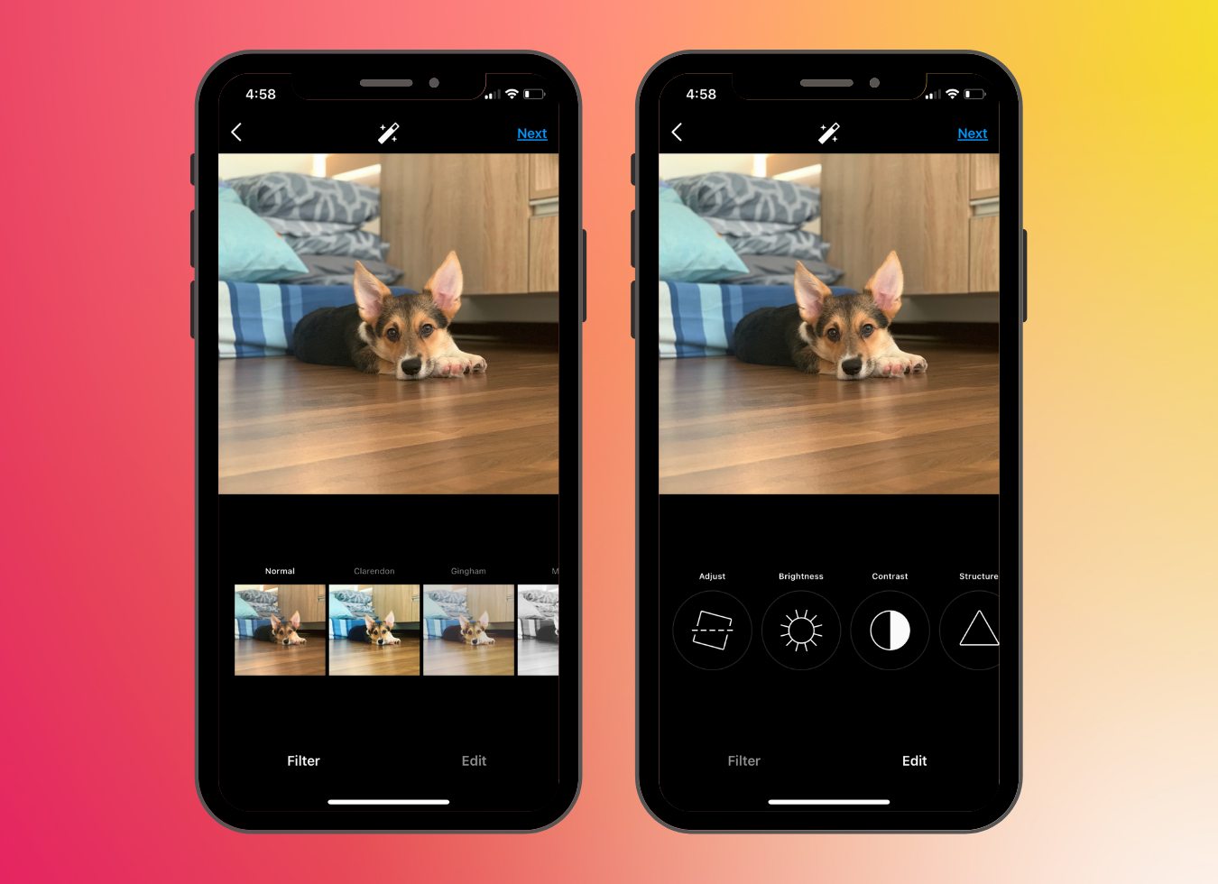 A corgi with big pointy ears lying on a wooden floor in the photo editor on the Instagram mobile app, and the Filter and Edit options below it. 