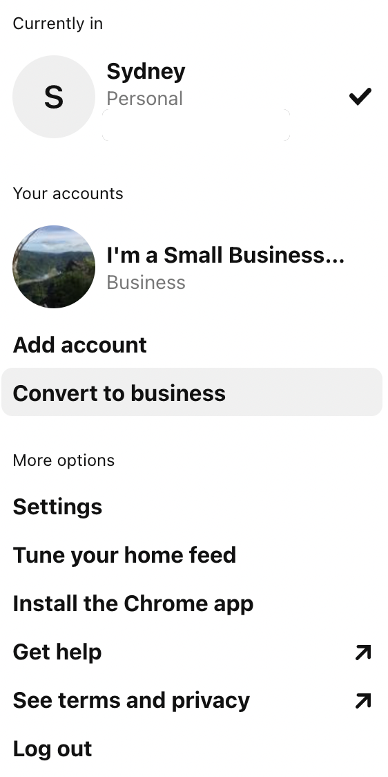 The Pinterest menu with a list of options. 'Convert to business' is under 'Your accounts'. 
