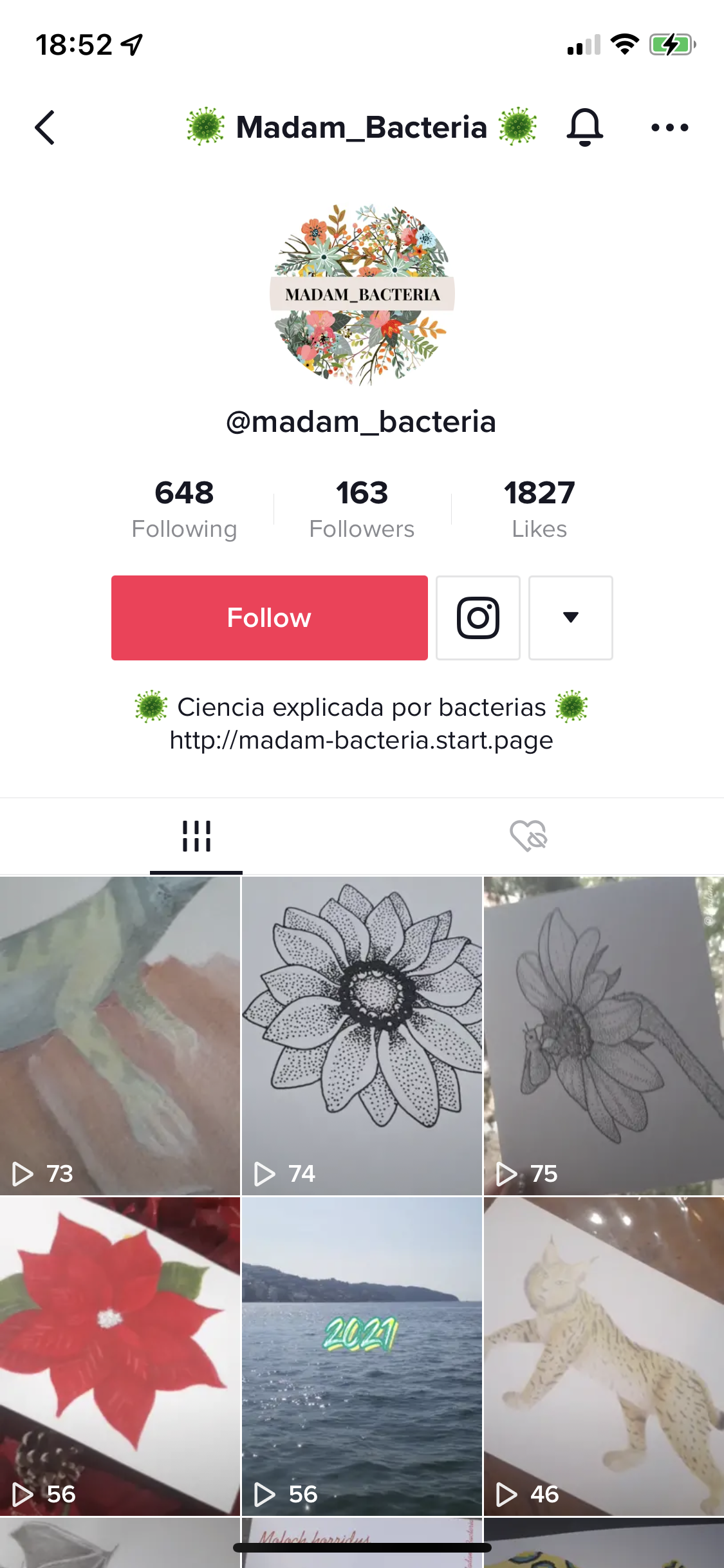 how-to-put-a-link-in-your-tiktok-bio