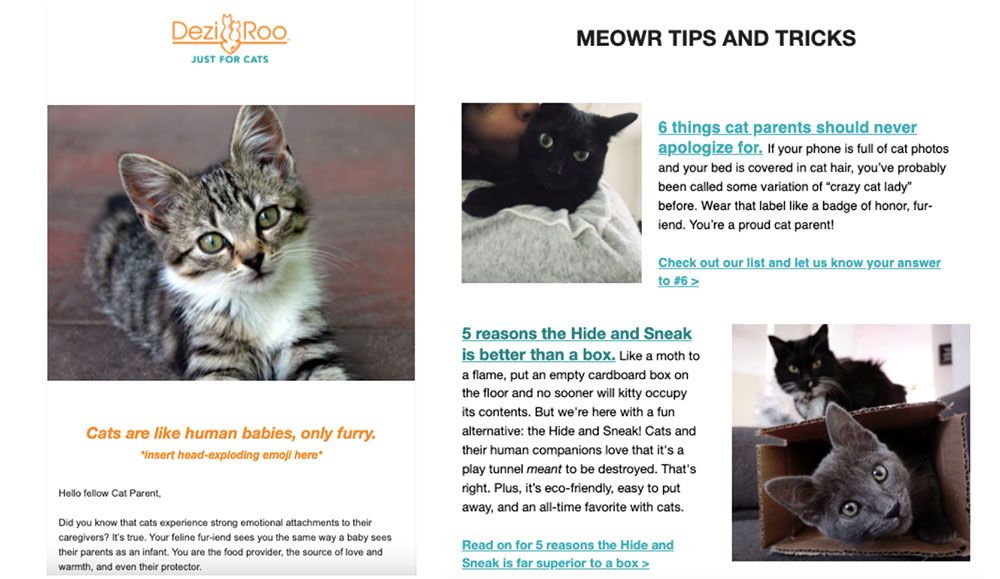 Examples of the Dezi and Roo newsletter
