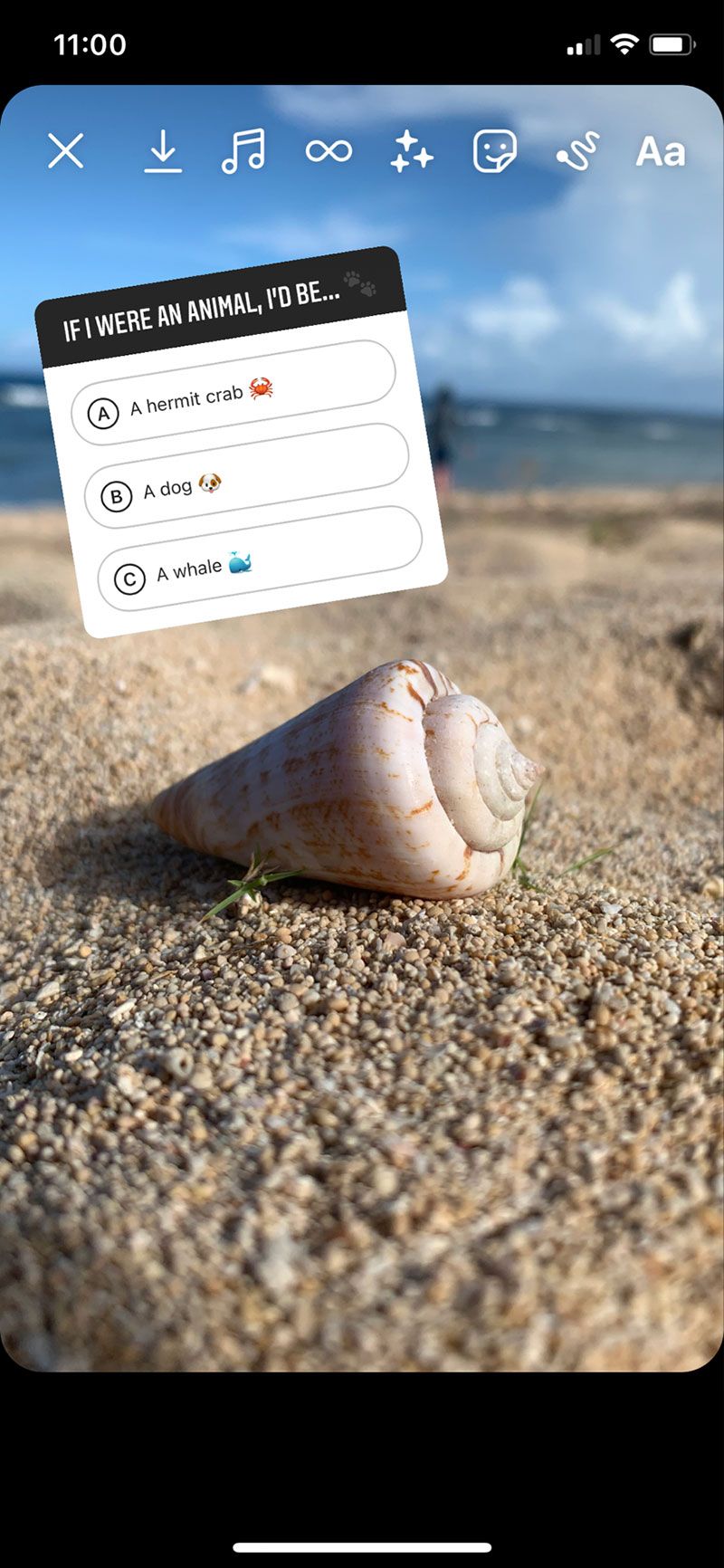 How To Create A Quiz On Instagram Stories