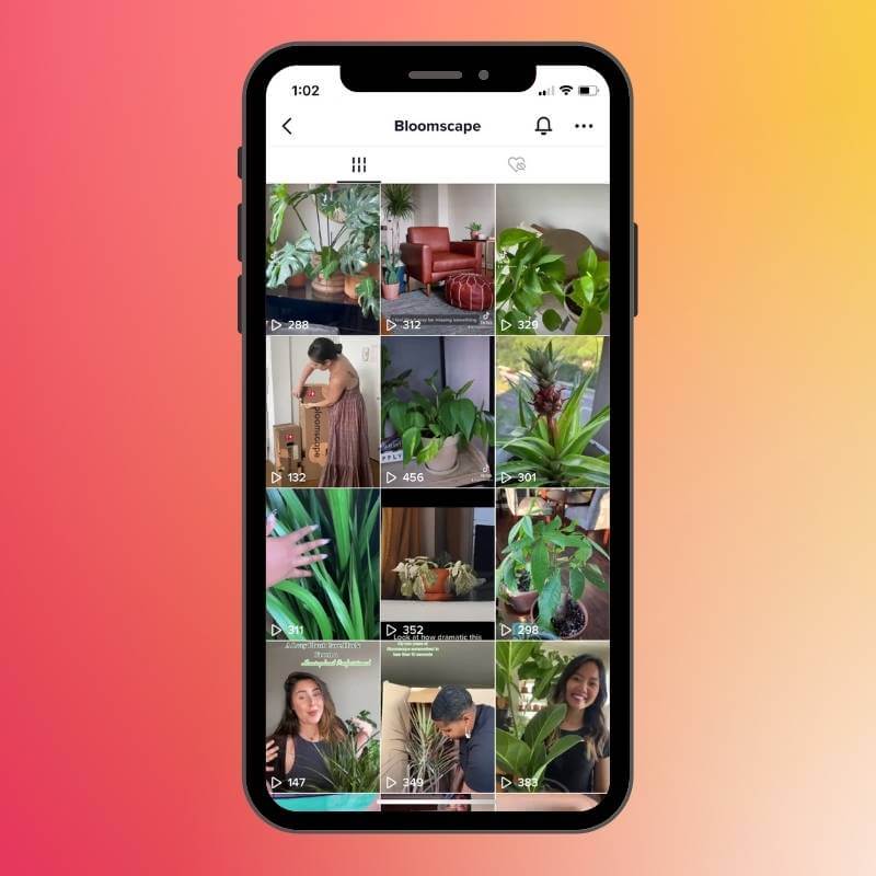 Bloomscape on TikTok