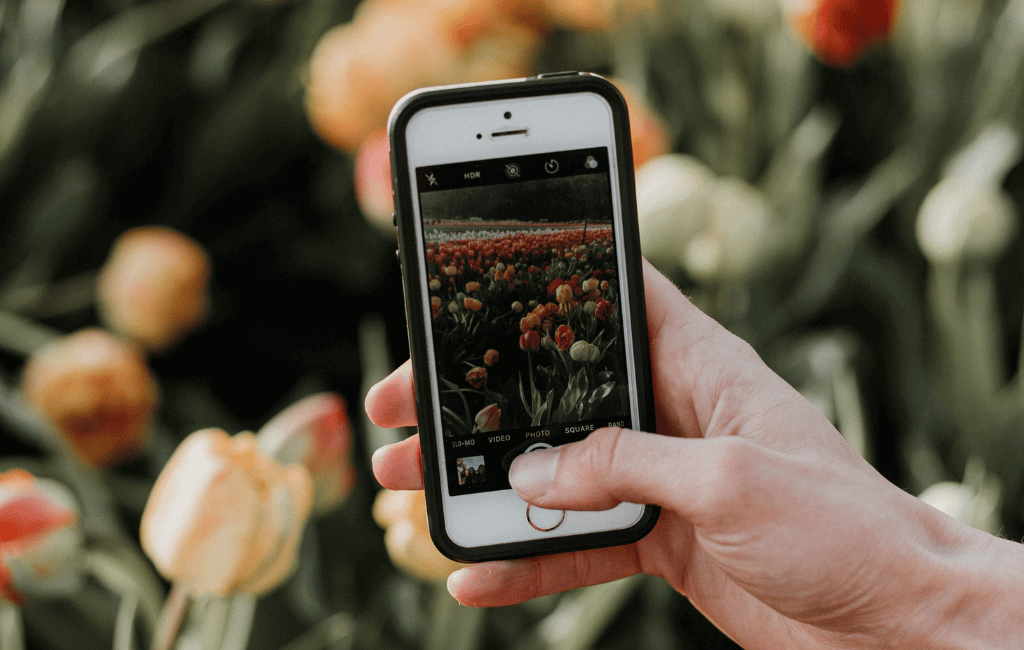 Top 4 Best Sites To Buy Instagram Followers In Seconds – Longmont Times-Call