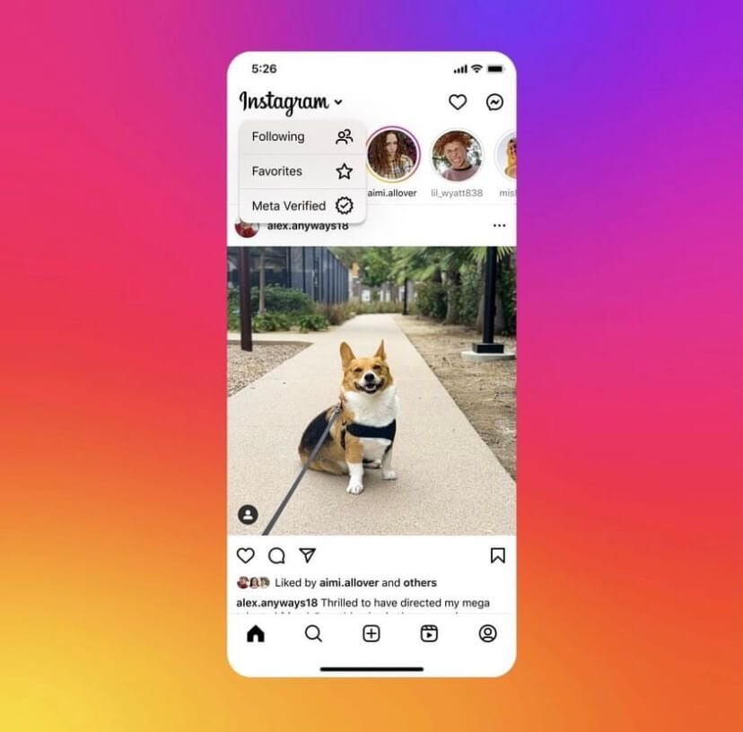 A Quick Guide to Getting a Blue Checkmark on Instagram - Reputation