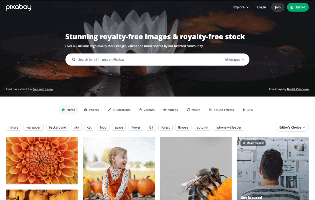 21+ Stock Photo Sites That Offer Free Images for Commercial Use