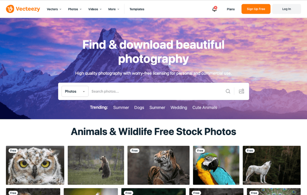 21+ Stock Photo Sites That Offer Free Images for Commercial Use