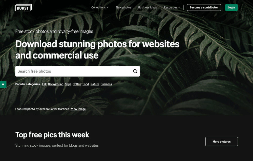 21+ Stock Photo Sites That Offer Free Images for Commercial Use