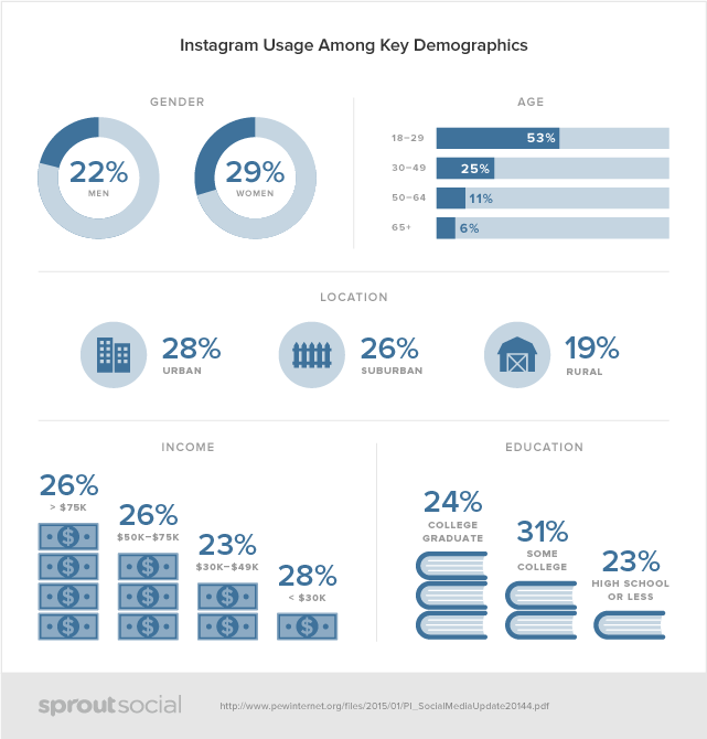 Social-Demographics-instagram