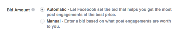 Facebook automatic or manual bid options