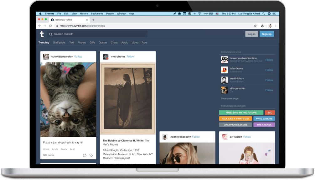 Tumblr feed screenshot