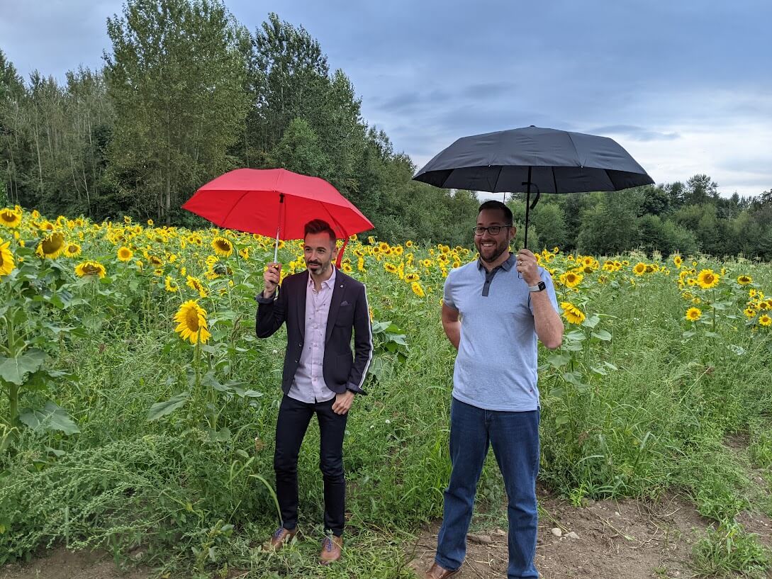 Two men standing in a sunflower field, holding umbrellas