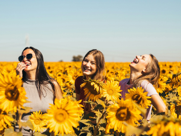 3 women pose in a field of sunflowers to illustrate an influencer marketing campaign