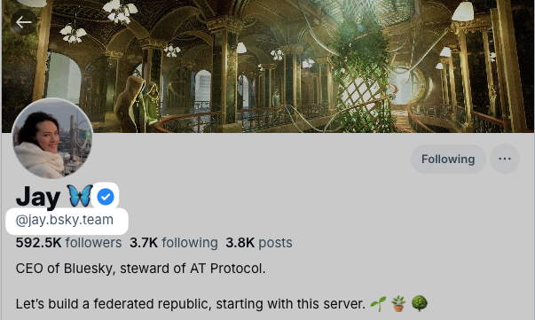 Bluesky Verification is Here: How to Get Your Blue Check