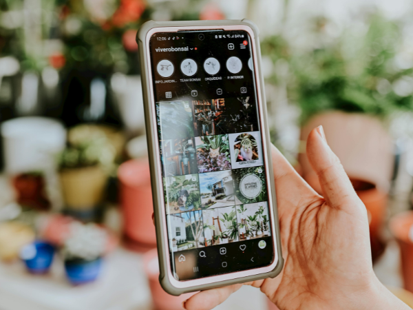 A hand holding a smartphone displaying the Instagram profile of a plant shop named viverobonsai, with plant pots and greenery blurred in the background.