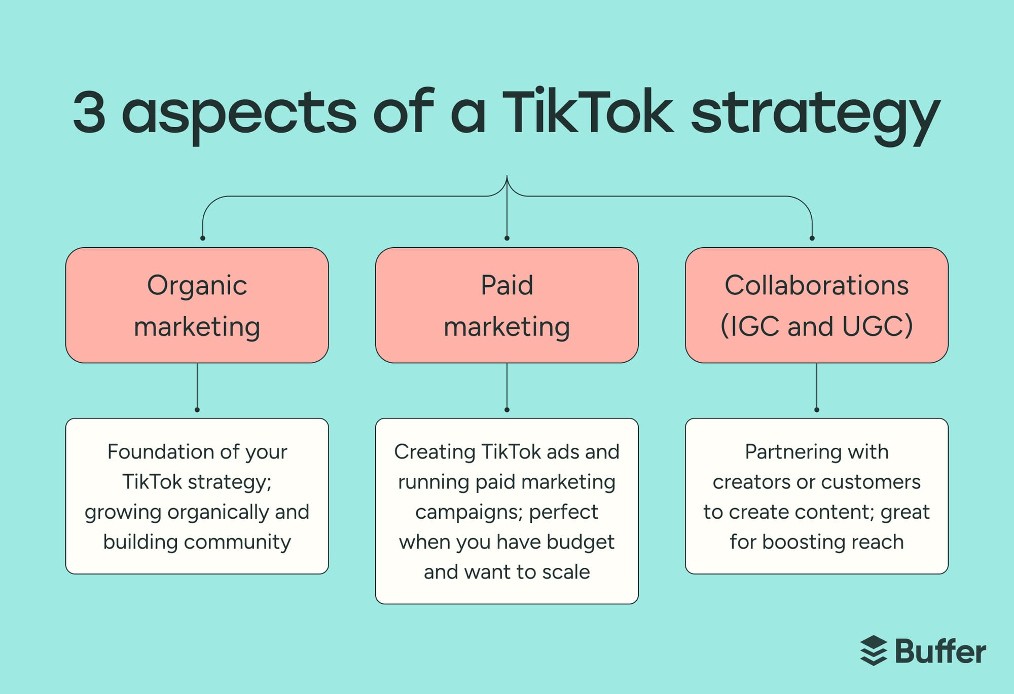 tiktok strategy