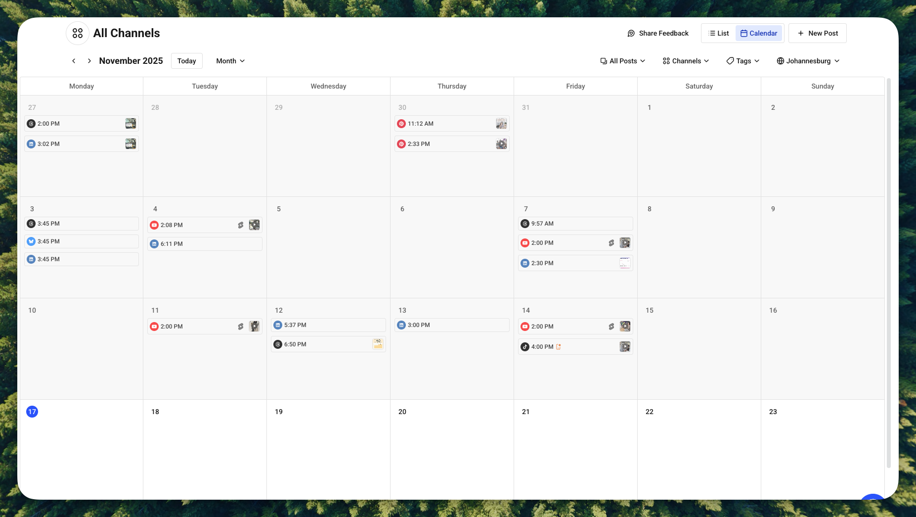 Monthly Buffer publish calendar showing scheduled social media posts across November with timestamps and channel icons.