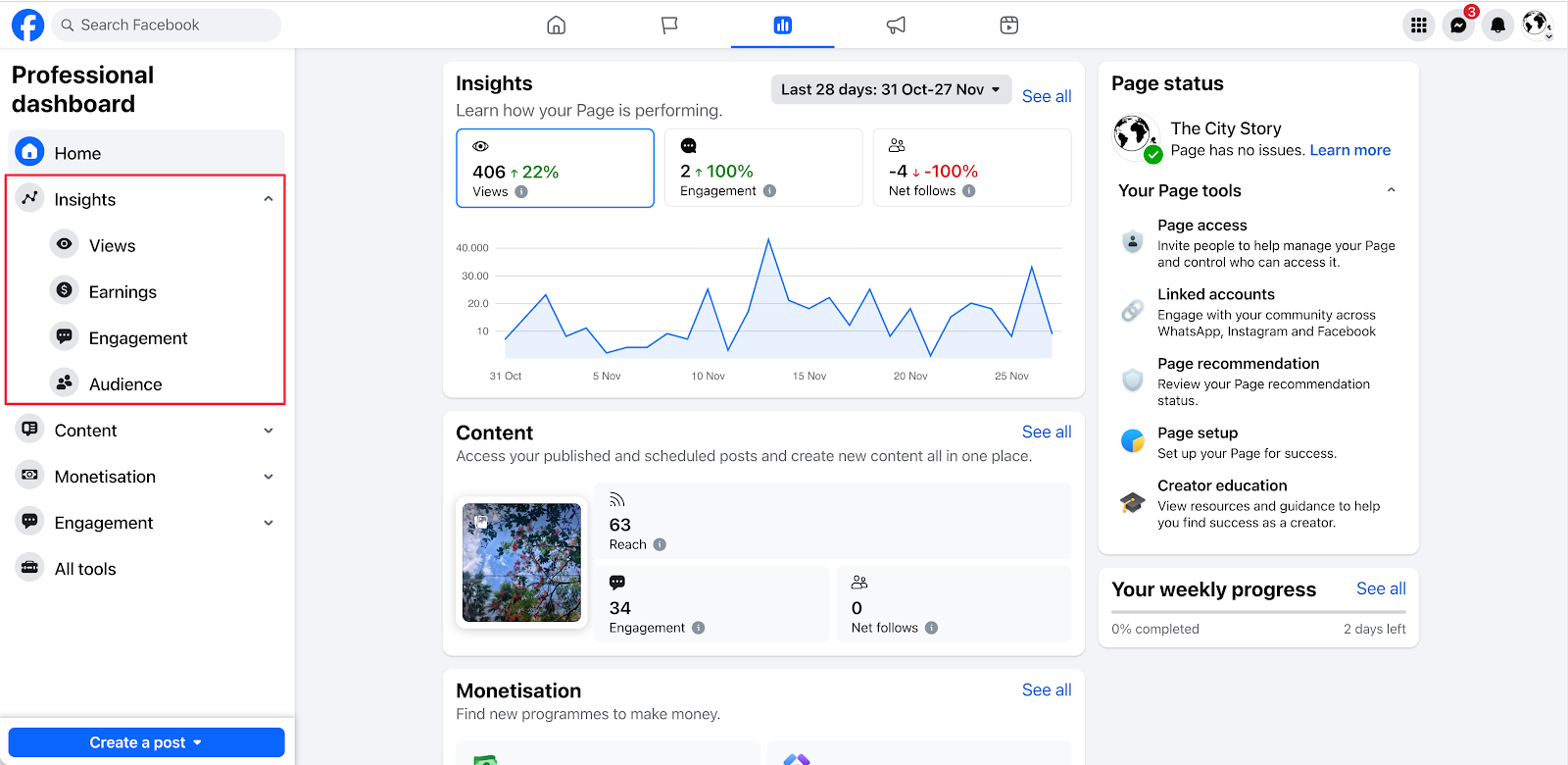 Screenshot showing a high-level overview of data from Facebook Insights