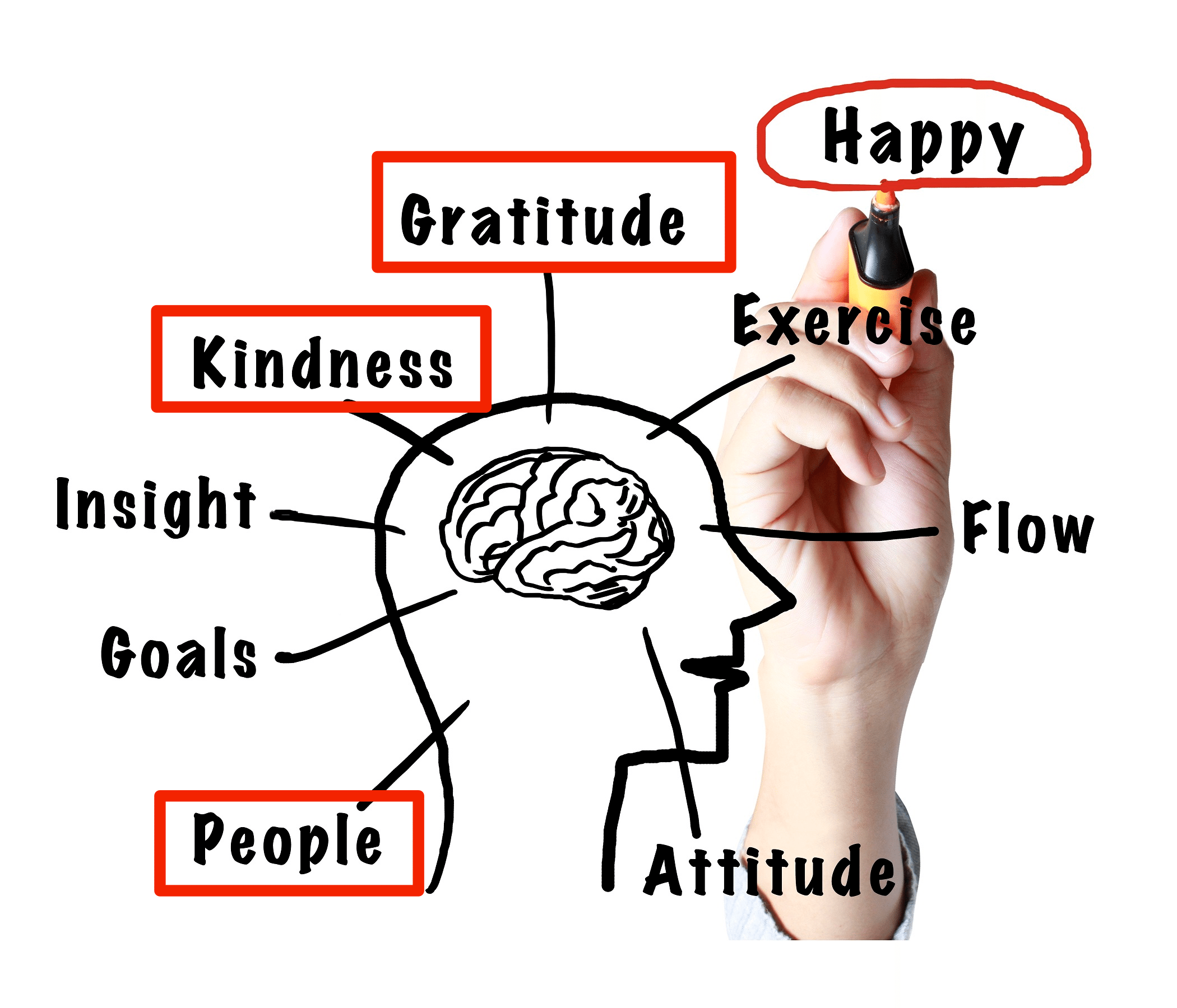 how to rewire your brain for positivity and happiness