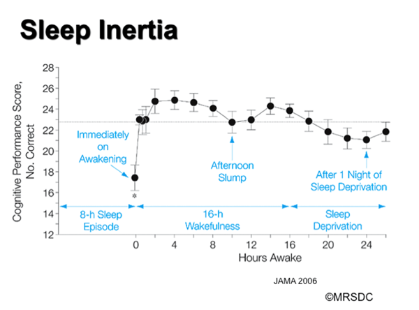 how naps affect your brain - sleep inertia