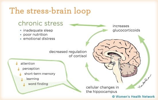 stress chart