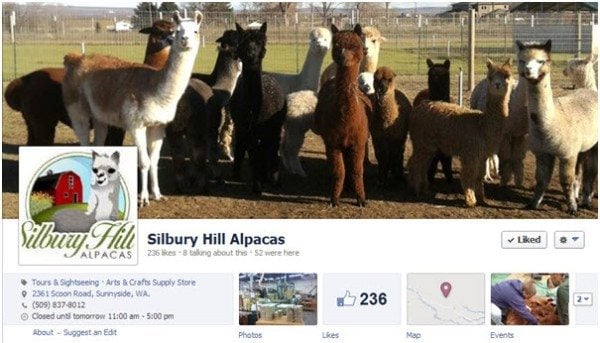 Alpaca Facebook header 