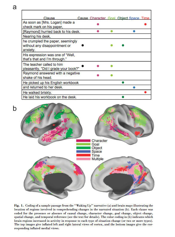 stories and the brain study