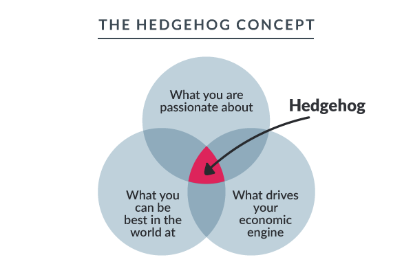 hedgehog concept