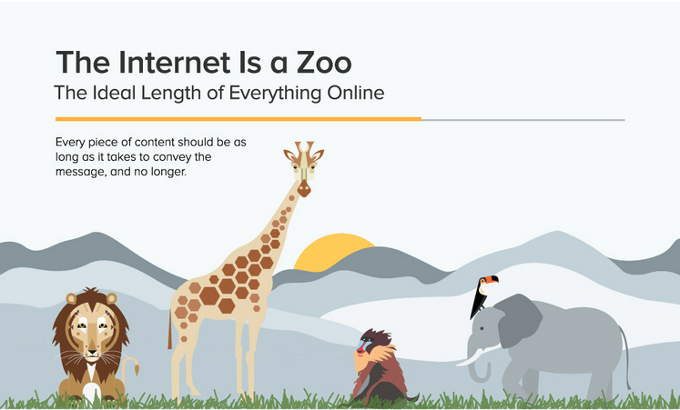 ideal length of everything online