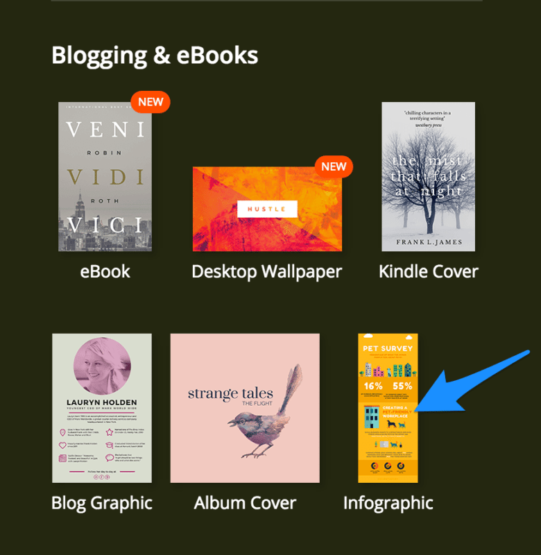 infographic template canva