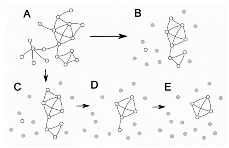 social-network-connections