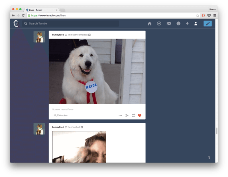 tumblr screenshot