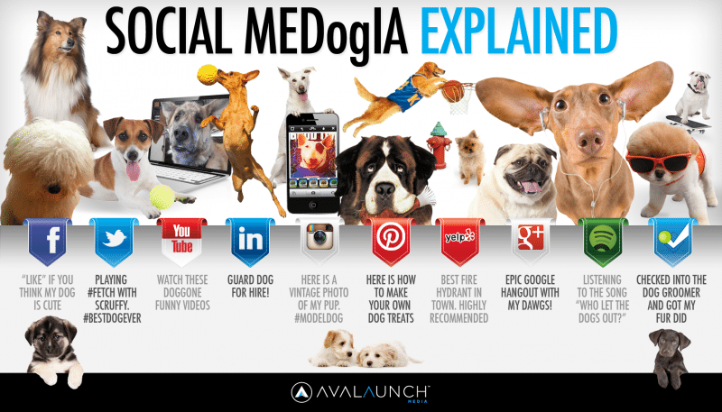 Social media explained by dogs, social media channels, social media marketing