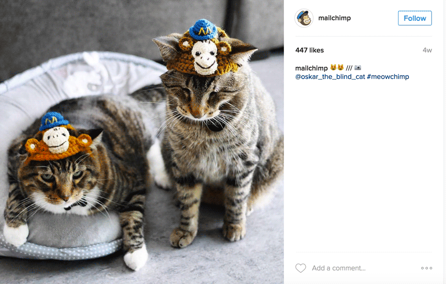 mailchimp-instagram-repost