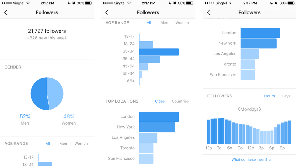 Instagram audience insights