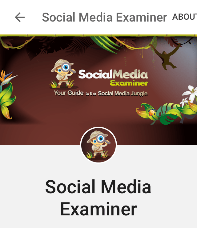 Google+ cover photo on mobile Google+ cover photo on mobile