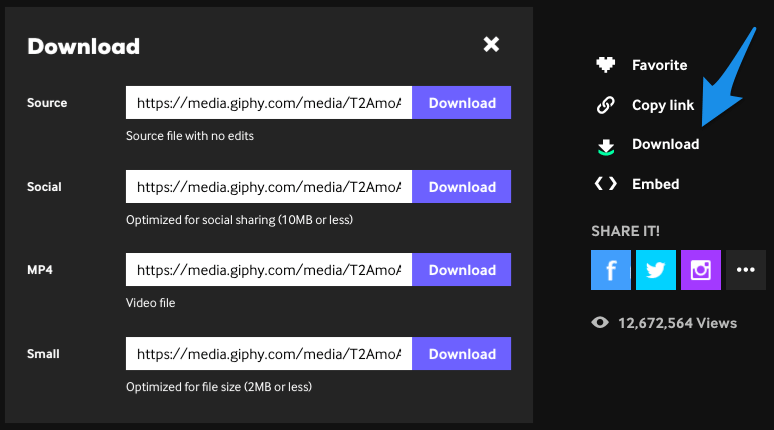 Download GIF on GIPHY