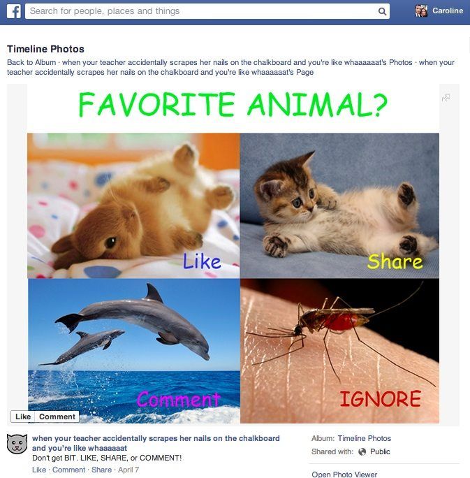 Like-baiting