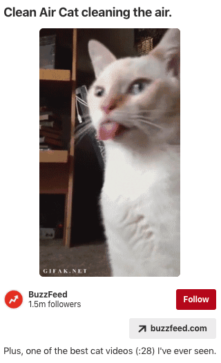 Pin: Clean air cat