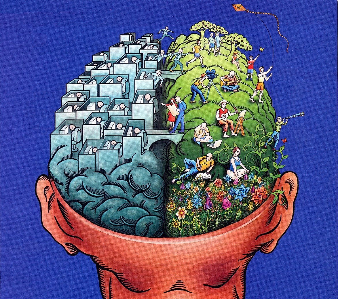 How Our Brain Works 10 Surprising Facts Buffer Blog