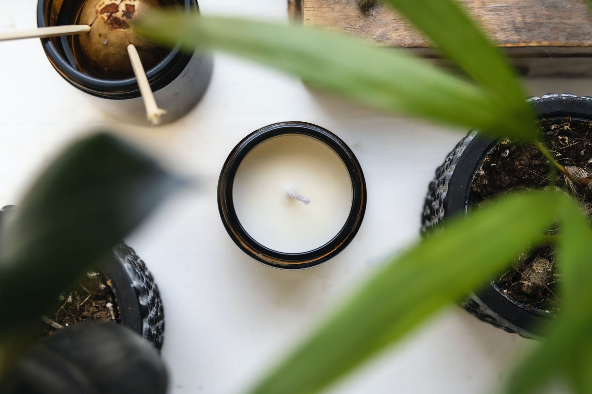 Candle and plants