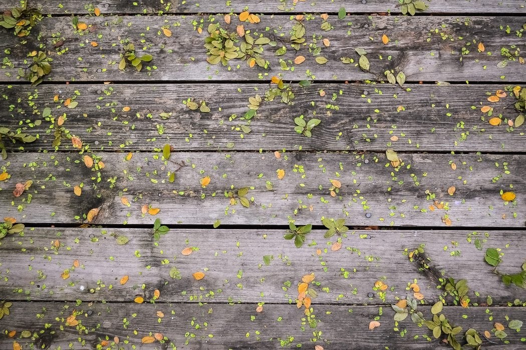 Building Your Social Media from Scratch: A #Bufferchat Recap