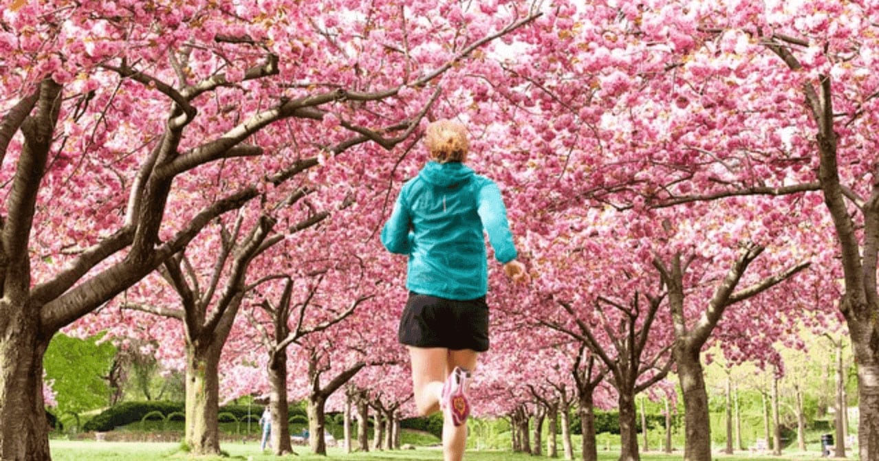 Nike’s Secret to Success on Instagram: Building an Engaged Community