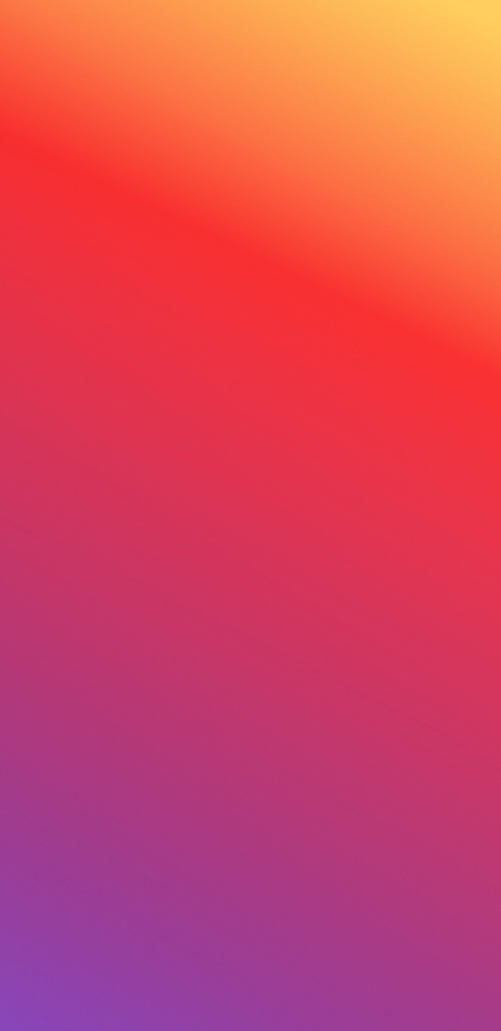 The Best Instagram Stories of 2019