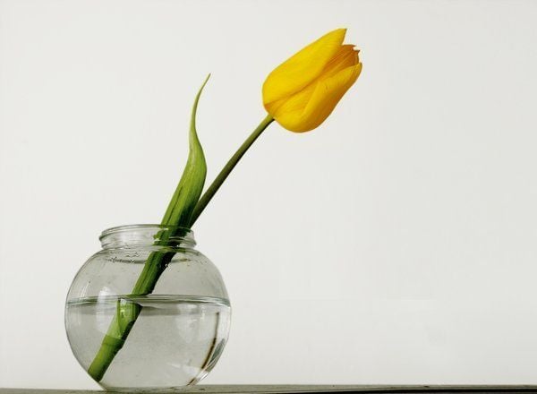 My Month of Minimalism: How I Decluttered My Life